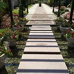 Oasis Resort&spa 2 * Лозенец